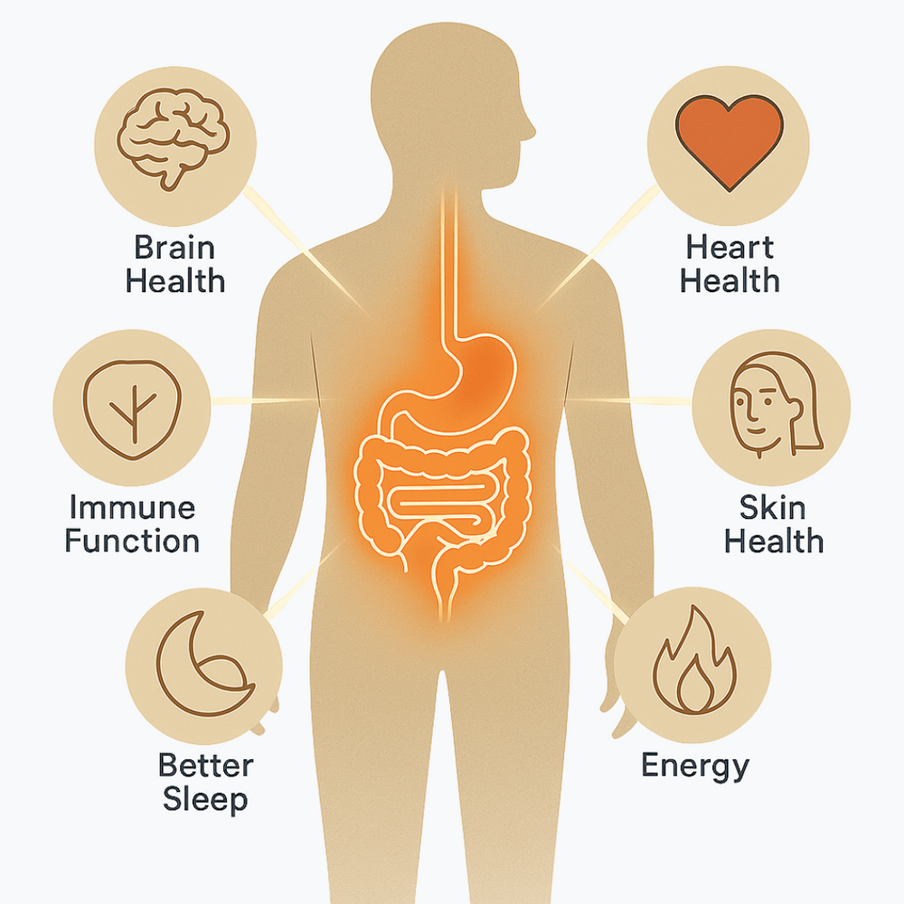 New Maximum Potency Formula - Benefits